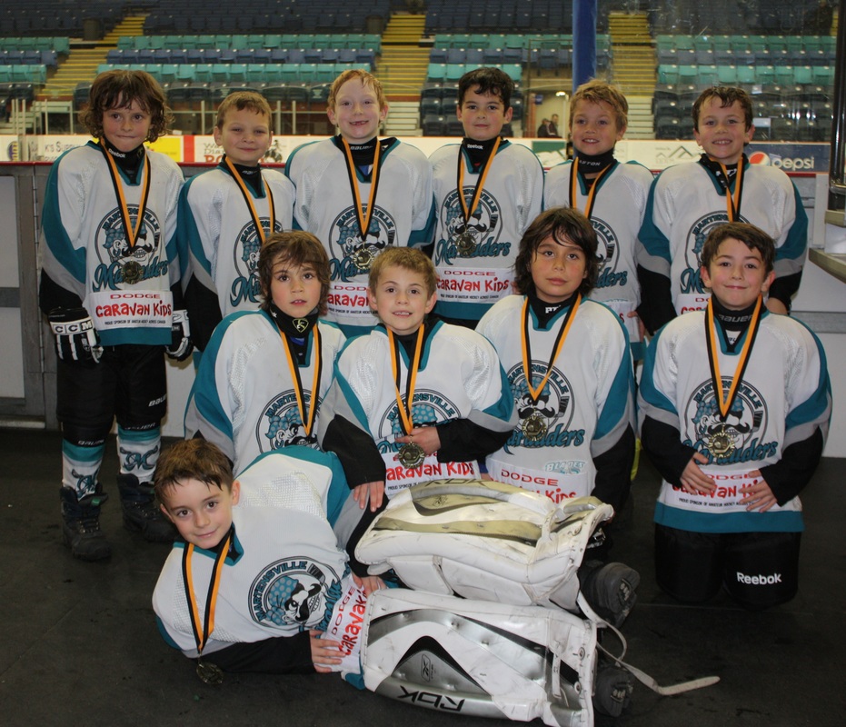 2014-15 Novice Pirates