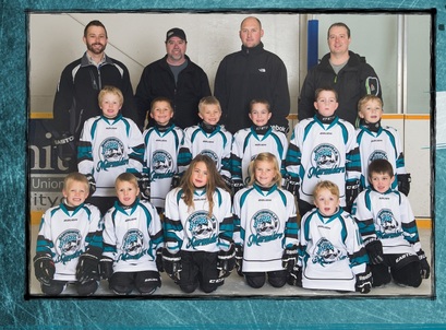 2015-16 Initiation Coyotes